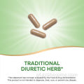 Cápsulas vegetarianas de erva diurética diurética da raiz do dente -de -denutético
